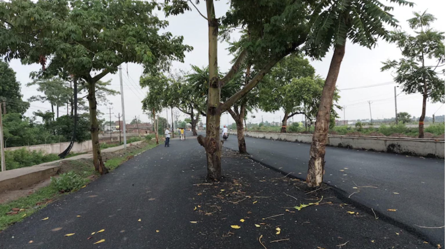Road In Bihar Has Trees In Between on Newly Built ₹100 Cr Stretch
